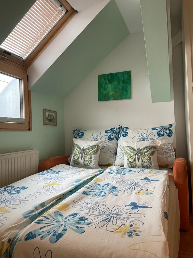 Grazer Schwalbe Apartment ภายนอก รูปภาพ