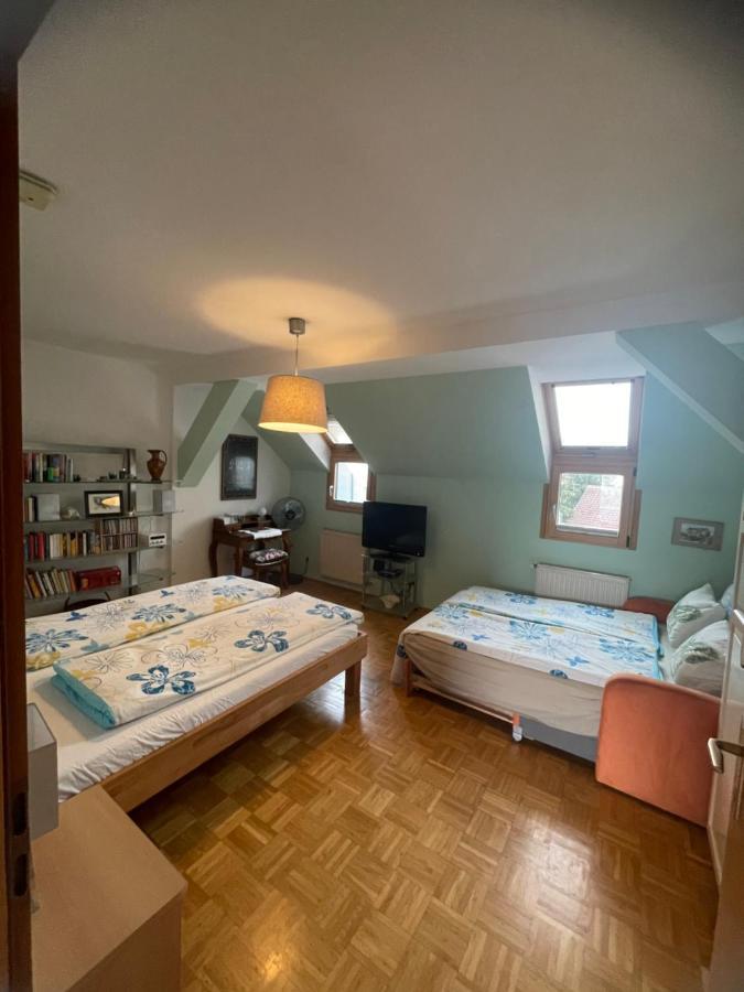 Grazer Schwalbe Apartment ภายนอก รูปภาพ