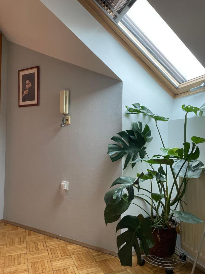Grazer Schwalbe Apartment ภายนอก รูปภาพ